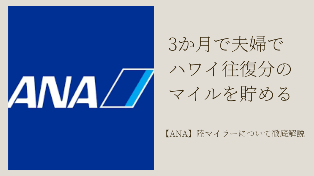 ポイントサイト（ポイ活）でANAマイルを貯めまくる「陸マイラー」とは